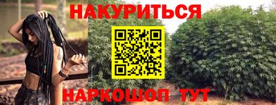 индика Нягань