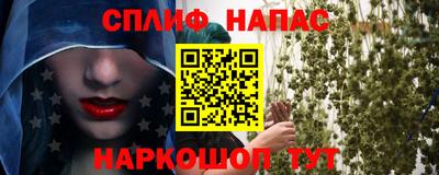 индика Нягань